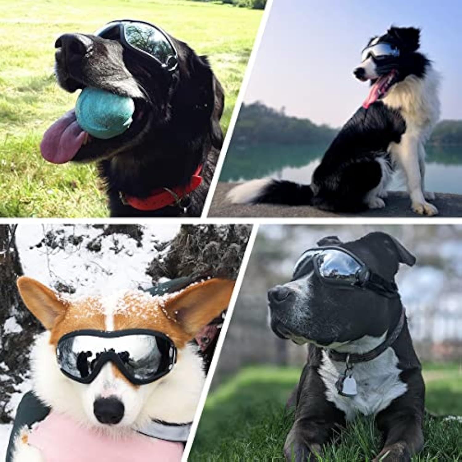 Stylish Windproof Dog Sunglasses Handsome Pet Goggles For Large  Medium Breeds With Sun Protection Anti Fog & Adjustable Strap For Driving Swimming Surfing